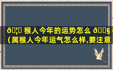 🦁 猴人今年的运势怎么 🐧 样（属猴人今年运气怎么样,要注意什么）